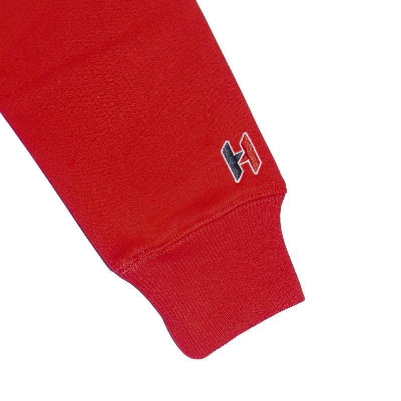 Buzo Hurlintong Tipo Hoodie Para Hombre En algodon - Imagen 3